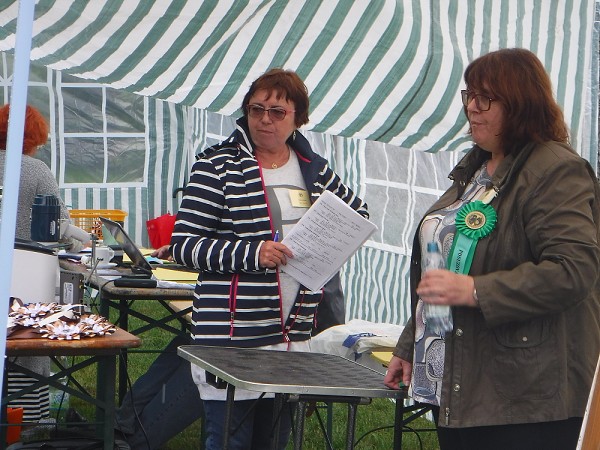 KV 2020-I, 11.7.2020, Městec Králové